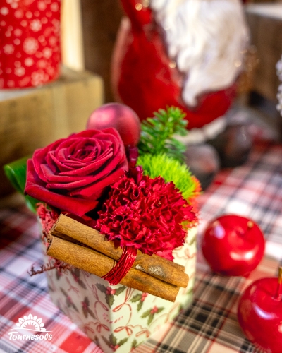 Composition florale avec rose rouge et cannelle sur fond de Noël.